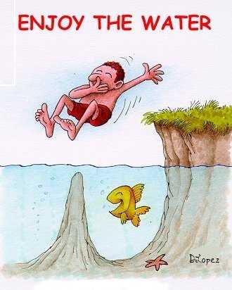 enjoy the water